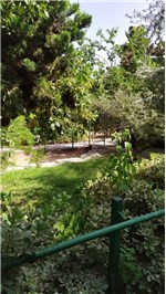 Gesher Holon