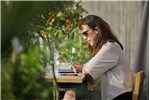 VIBE WORKSPACE Poleg