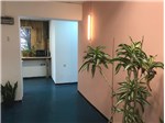 Salon Baghdad