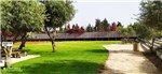 Havat organi green