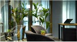 Hagag Co-Working