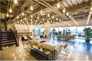 Coworking space in netanya - dogether - Ir Yamim Netanya
